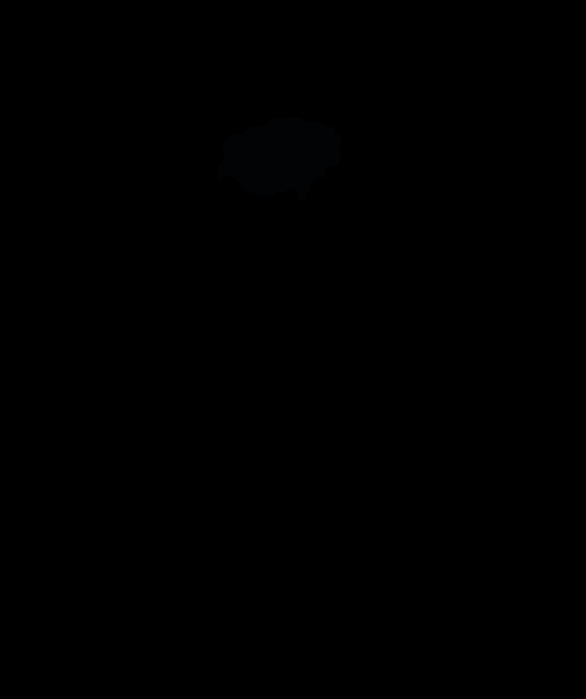 2.gif