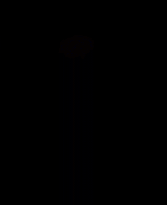 3.gif