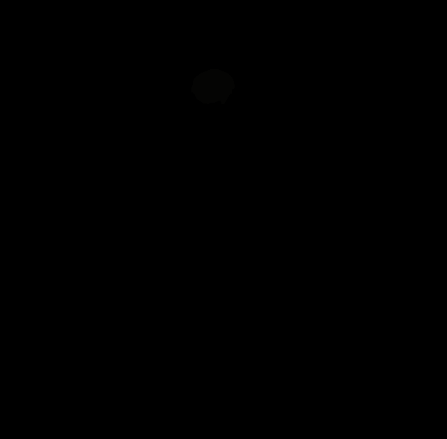 5.gif